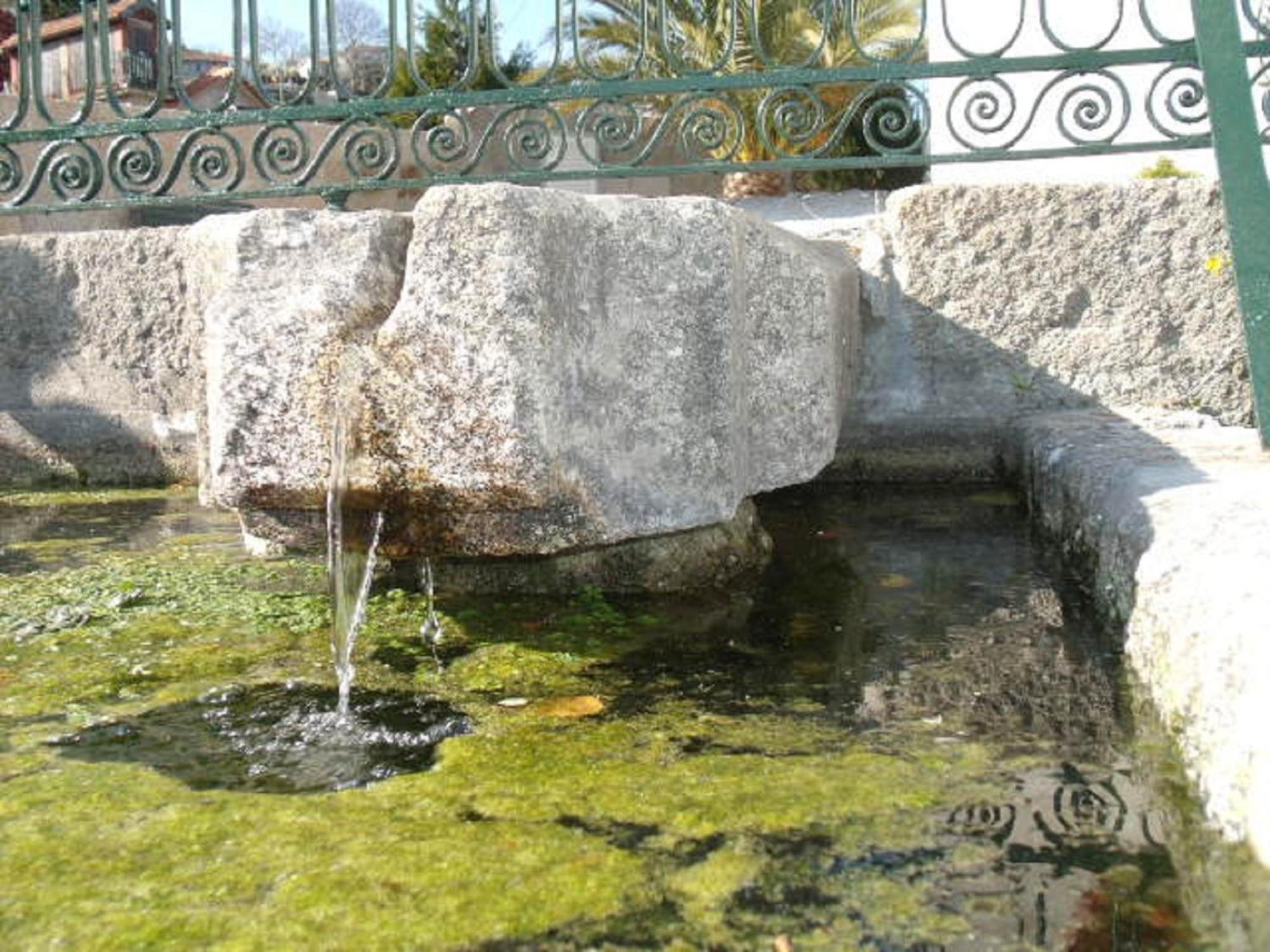 Гостевой дом Quinta Da Casa Grande Pinheiro Байан Экстерьер фото